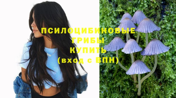 кокаин колумбия Краснослободск