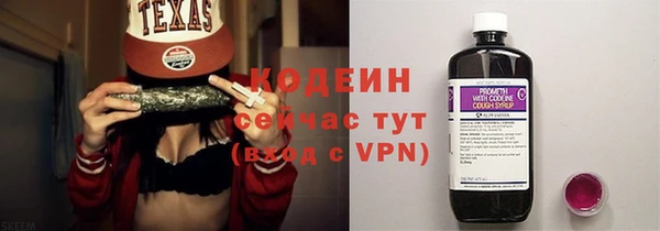 прущие грибы Корсаков