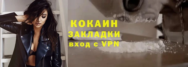 гидра Кулебаки