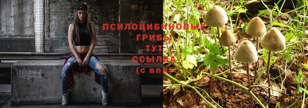 эйфоретик Ладушкин