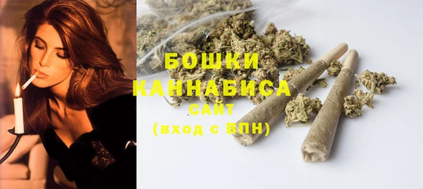 спайс Лагань