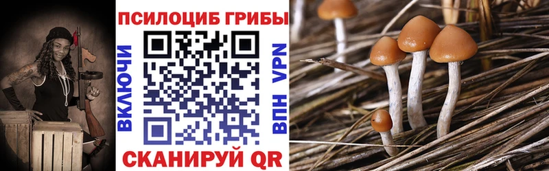 Галлюциногенные грибы Magic Shrooms  KRAKEN ссылки  Красноармейск 