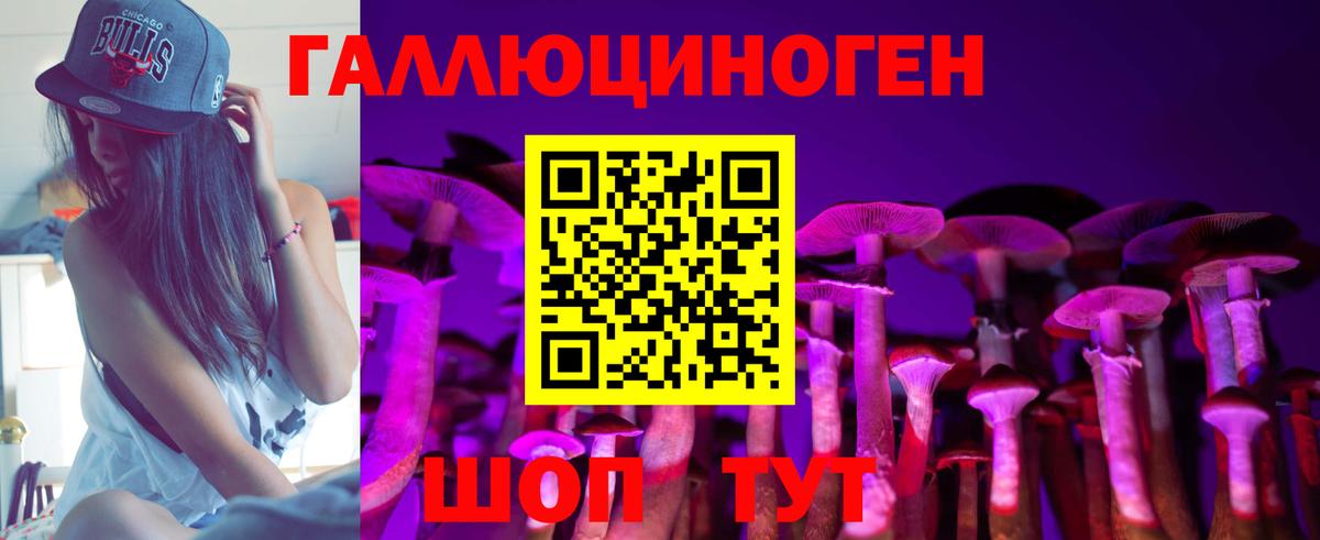 Псилоцибиновые грибы Psilocybine cubensis  Псилоцибиновые грибы мухоморы  Красноармейск  Вход с VPN 